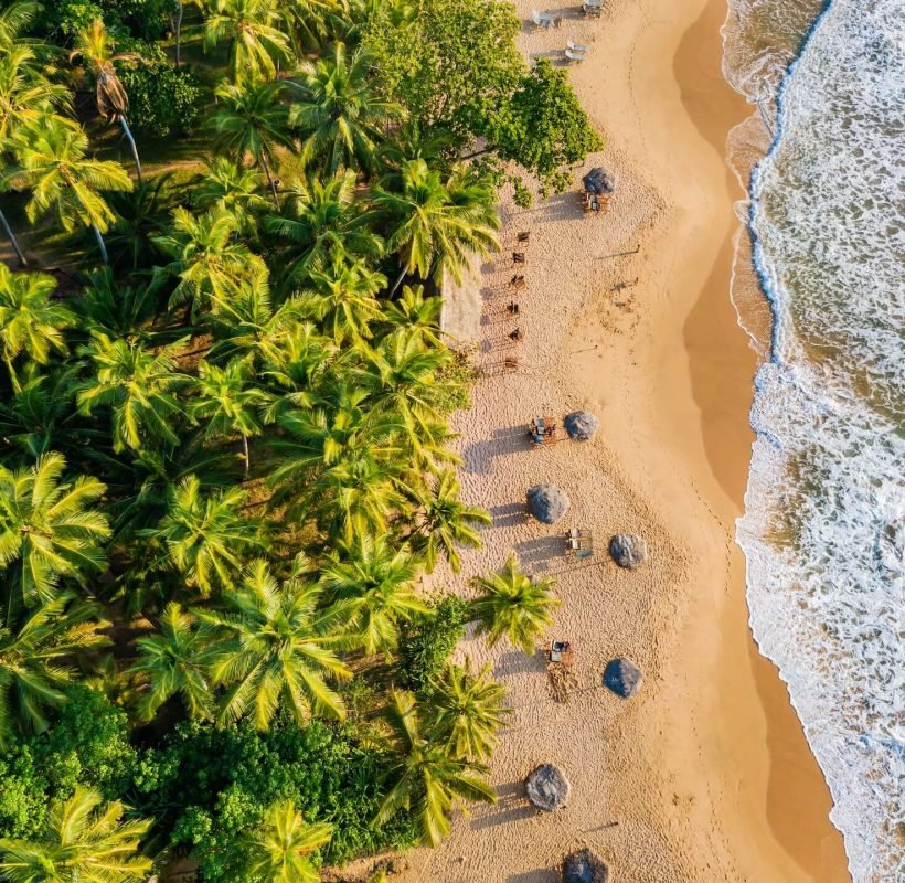 romantic-sunset-on-a-tropical-beach-with-palm-tree-2025-01-08-09-01-24-utc