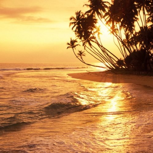 sri-lanka-tropical-beach-sunset-palm-trees